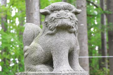 星野稲荷神社 狛犬