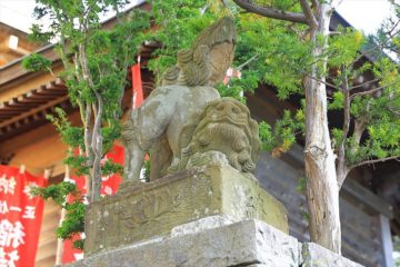 宗圓寺の狛犬様