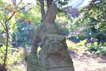 住吉神社 狛犬