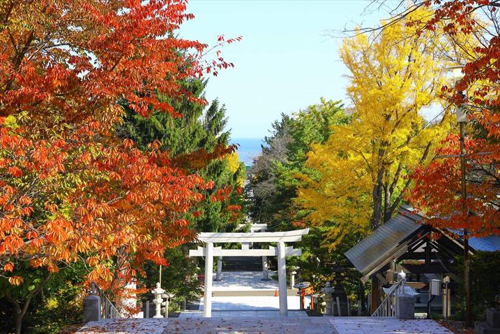 住吉神社からの風景