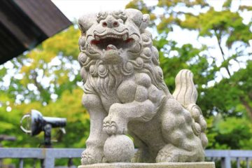 高島稲荷神社の狛犬様
